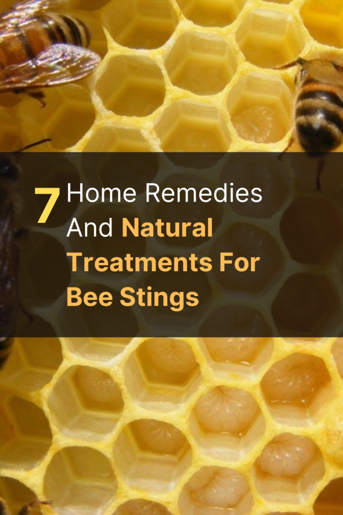 red bee sting treatment